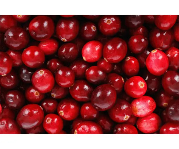 Gold Health cranberry supplements for urinary tract support and bladder wellbeing