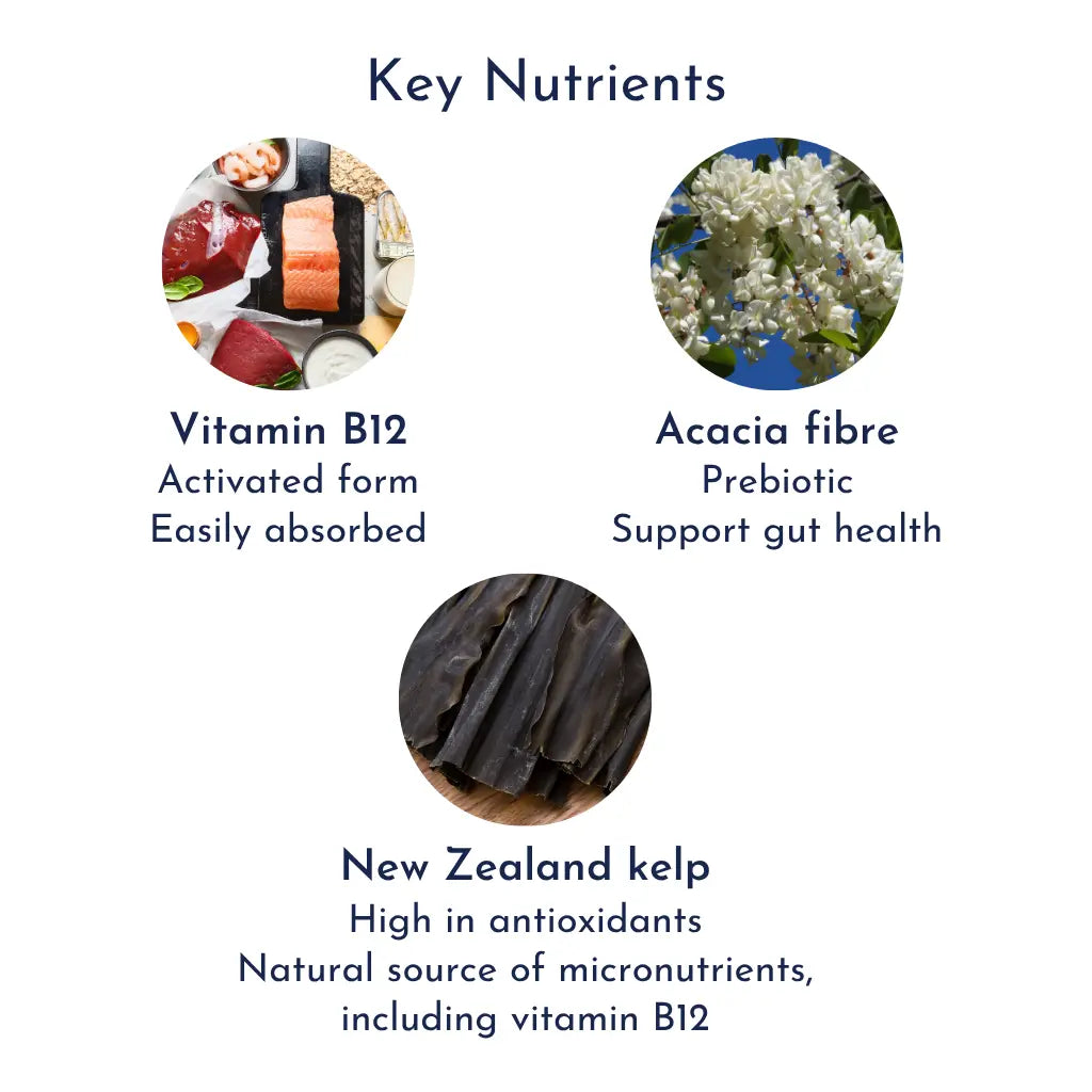 Activated Vitamin B12 with NZ Kelp b12nutrients product image