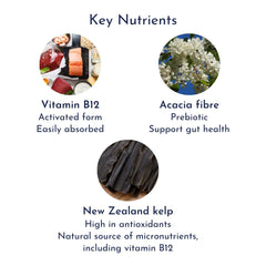 Activated Vitamin B12 with NZ Kelp