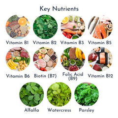 Energy Pack - Super Fish Oil + XTR B Plus plus nutrients product image