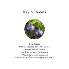 Twin Pack - XTR Cranberry 100,000 cranberry nutrients d31aa00a product image