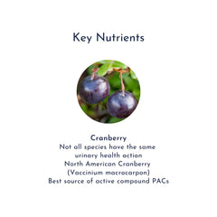 XTR Cranberry 100,000 cranberrynutrients product image