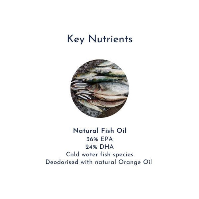 Circulation Pack - Fish Oil + Turmeric fish oil nutrients product image