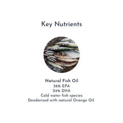 Energy Pack - Super Fish Oil + XTR B Plus fish oil nutrients product image