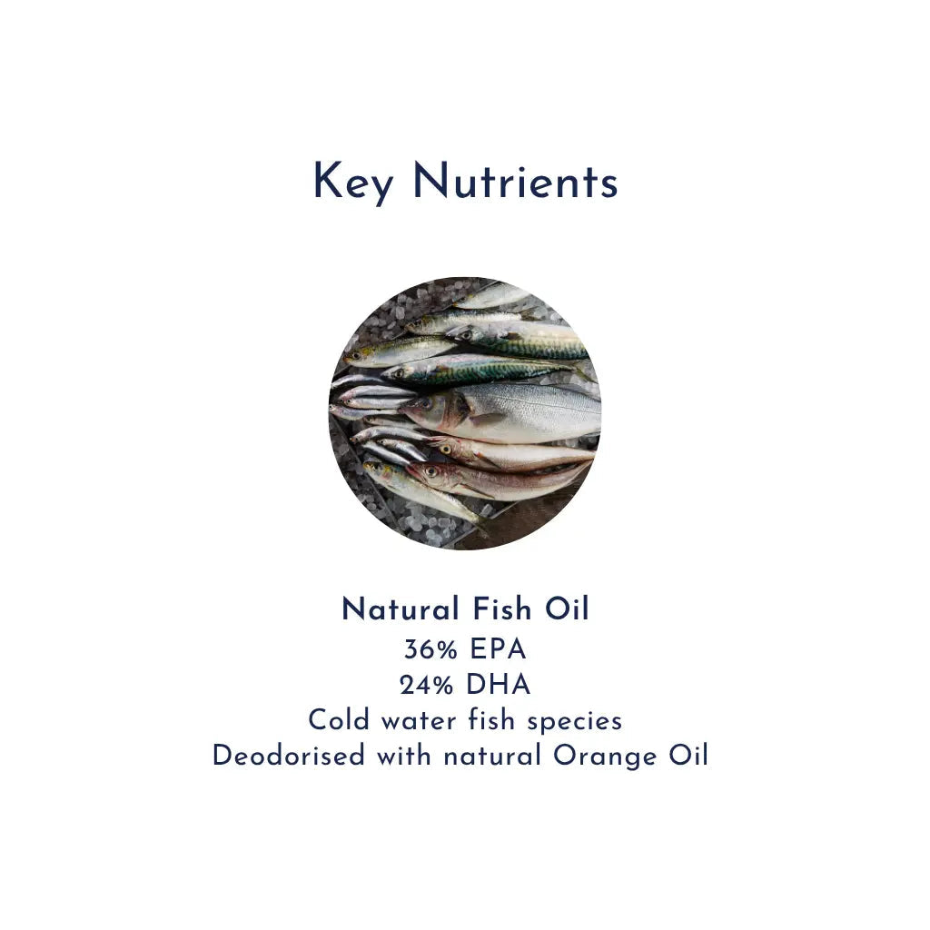 Super Fish Oil 2XP Omega 3 fishoilnutrients product image