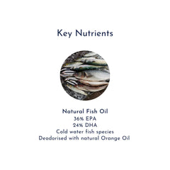 Super Fish Oil 2XP Omega 3 fishoilnutrients product image