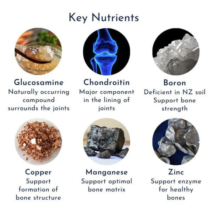 Super Joint Glucosamine and Chondroitin joint nutrients product image
