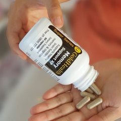 Brain Pack - Fish Oil + Vitamin B12 + Memory Support XP
