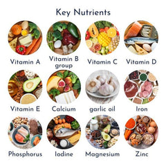 Wellbeing Pack - Senior Multi + CoQ10 multi nutrients product image