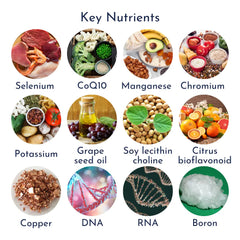 Super Multi XP for Men and Women multinutrients2 product image