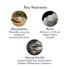 OsteoMX3 Glucosamine and Fish Oil