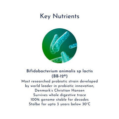 Super Probiotic Gut Health and Digestion Strawberry Chewable