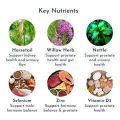 His & Hers Pack - Prostate Support + Cranberry natural health supplement