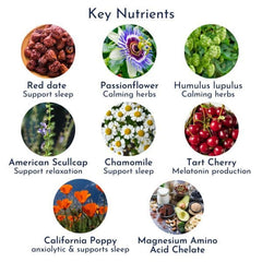 Super Sleep for Seniors