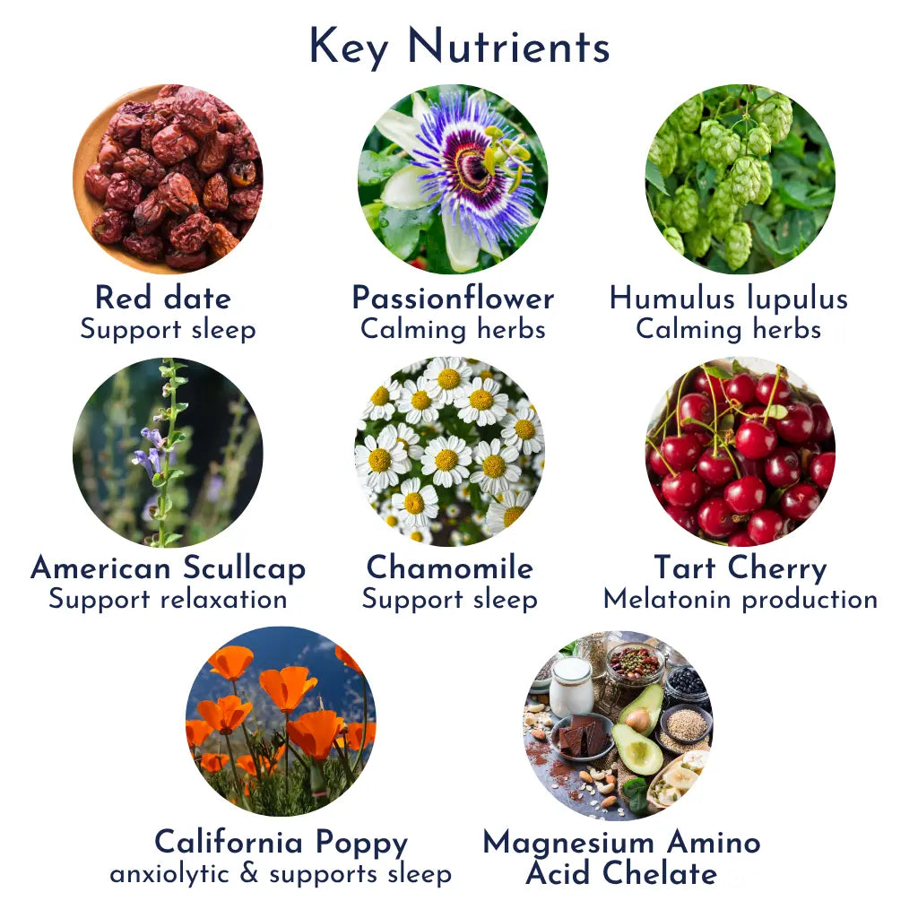 Super Sleep for Seniors sleepnutrients product image
