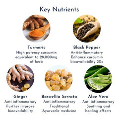 Joint Pack with Turmeric - OsteoMX3 + Turmeric