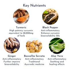 Digestion and Detox Health Pack - Probiotic + Prebiotic + Gut Protection turmeric nutrients product image