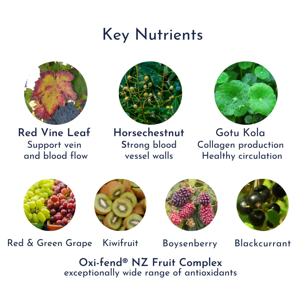 XTR-Vein Support with Red Vine Leaf and NZ Oxi-fend® Fruit Complex veinnutrients product image