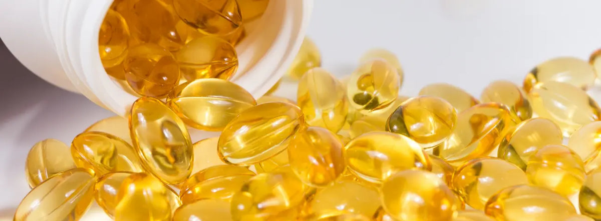 CoQ10 and fish oil supplements beside a meal for an older New Zealand adult