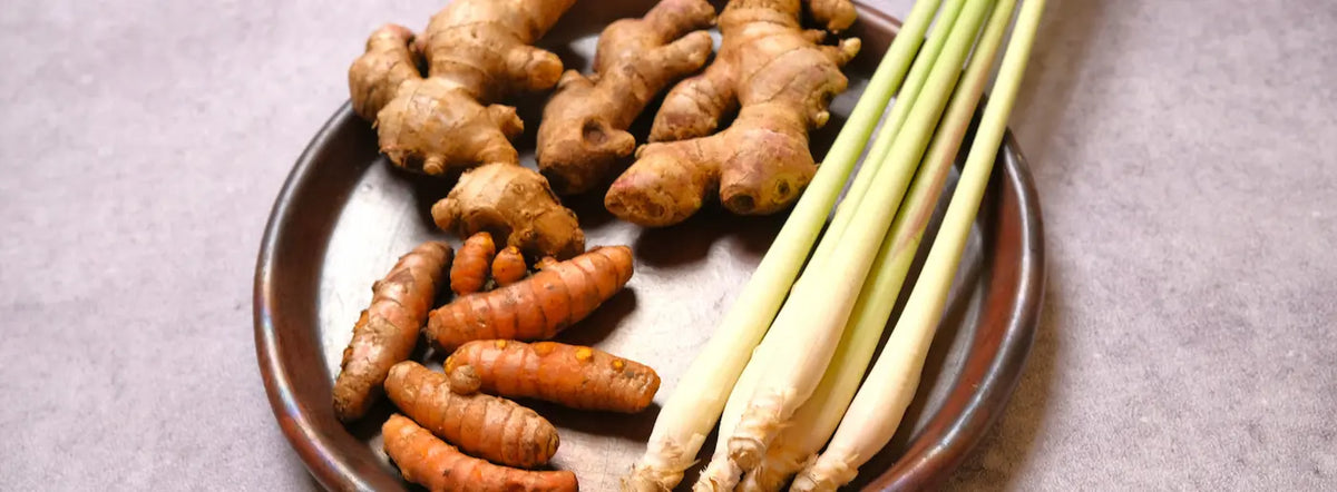 Older New Zealand woman exploring a turmeric, Boswellia and ginger supplement beside natural botanical ingredients.