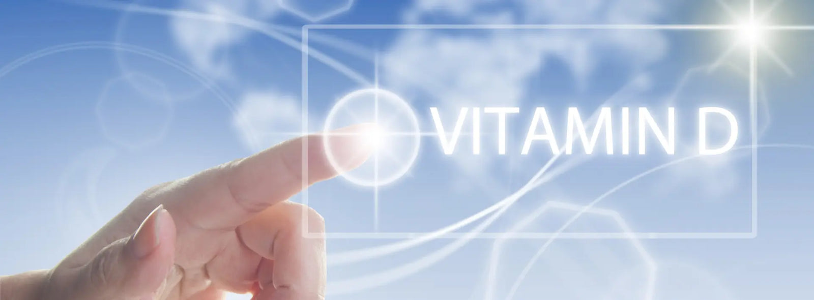 Three vitamin D supplement bottles being compared for D2, D3, source and label details