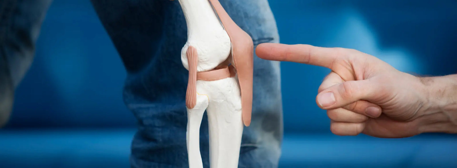 Glucosamine and chondroitin formula with vitamin D3, zinc, copper and manganese co-factors