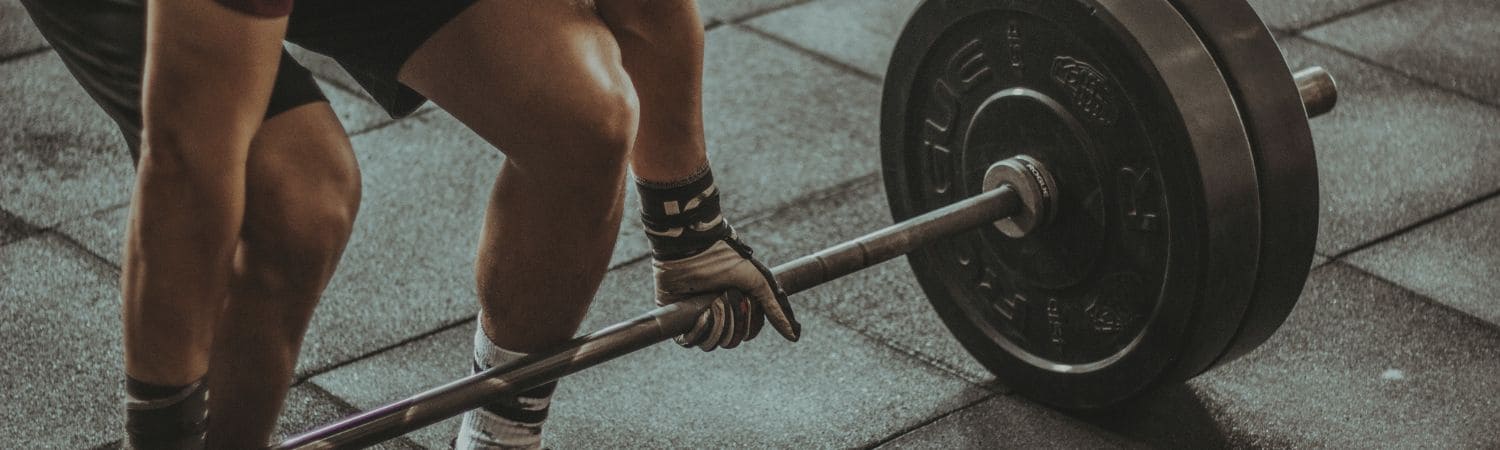 Muscles