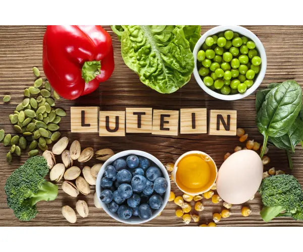 Gold Health lutein supplements for macular support and daily eye health