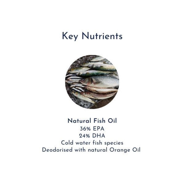 Energy Pack - Super Fish Oil + XTR B Plus