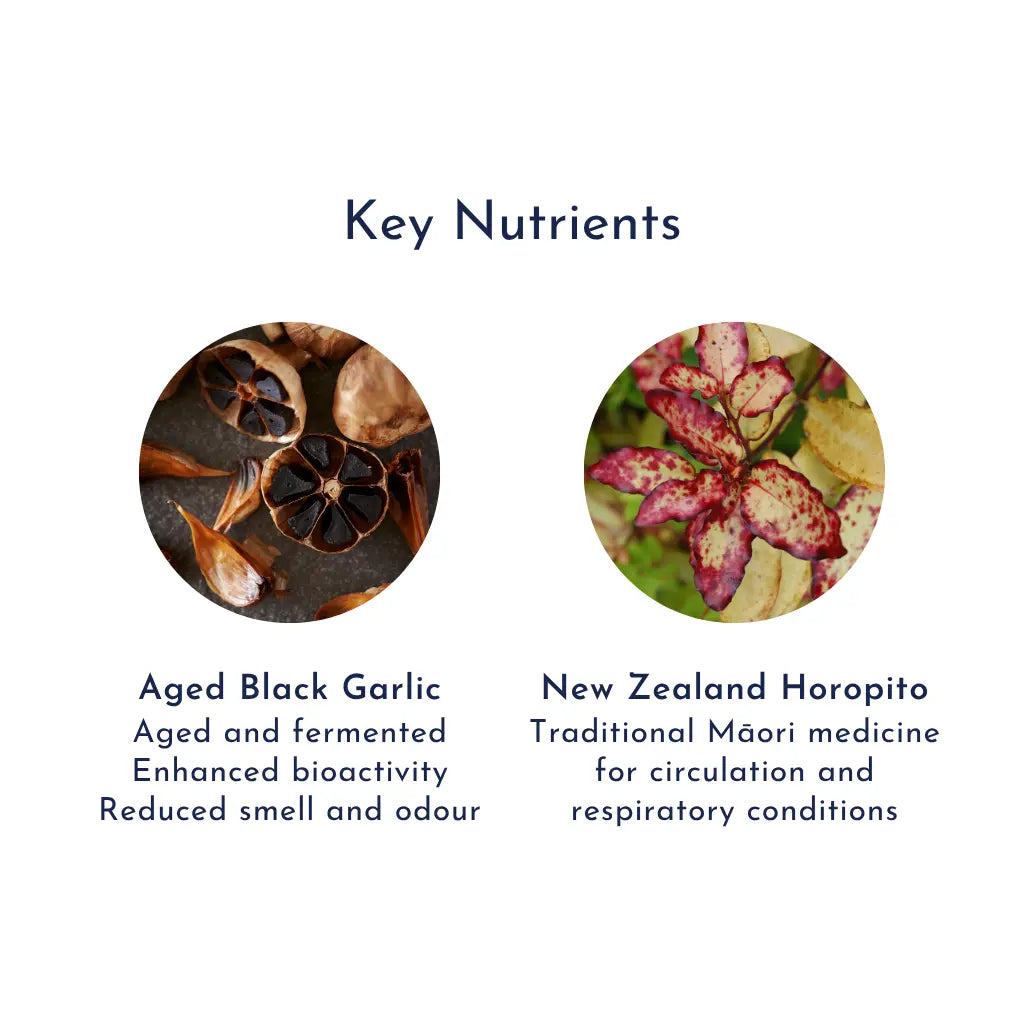 MAX Aged Black Garlic with NZ Horopito