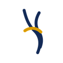 Joint & Mobility
