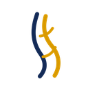Vein Support