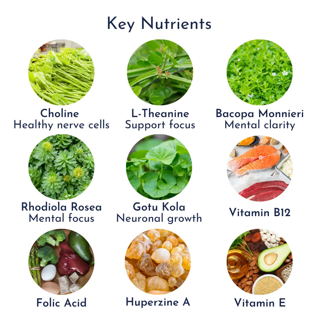 Brain Support XP Brain Nutrients memorynutrients product image