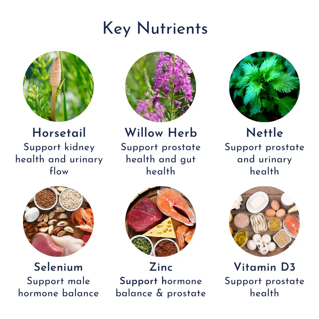 XTR Prostate Support prostatenutrients product image